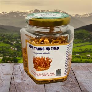 Đông Trùng Hạ Thảo hủ 25gr